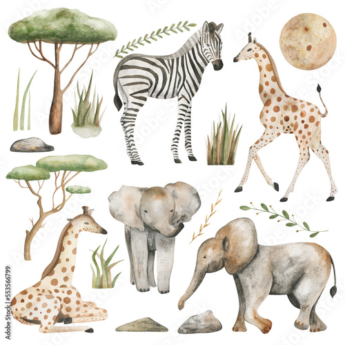 Safari animals watercolor illustration