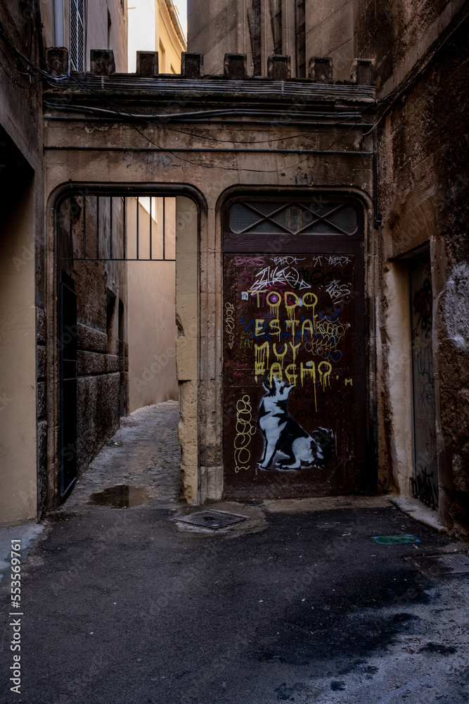 Mediterranean street in the town with graffiti on a metal door 
