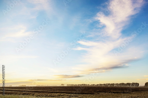 A canola field at sunset after it has been swathed and ripened ready to harvest; Legal, Alberta, Canada photo