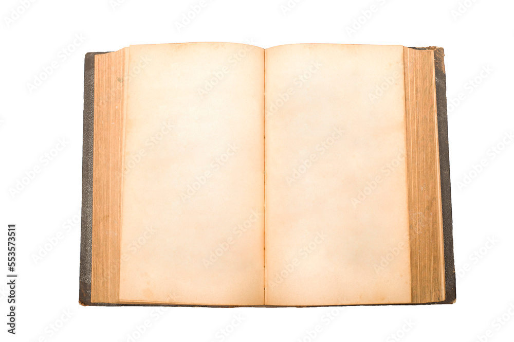 blank ancient open book, isolated