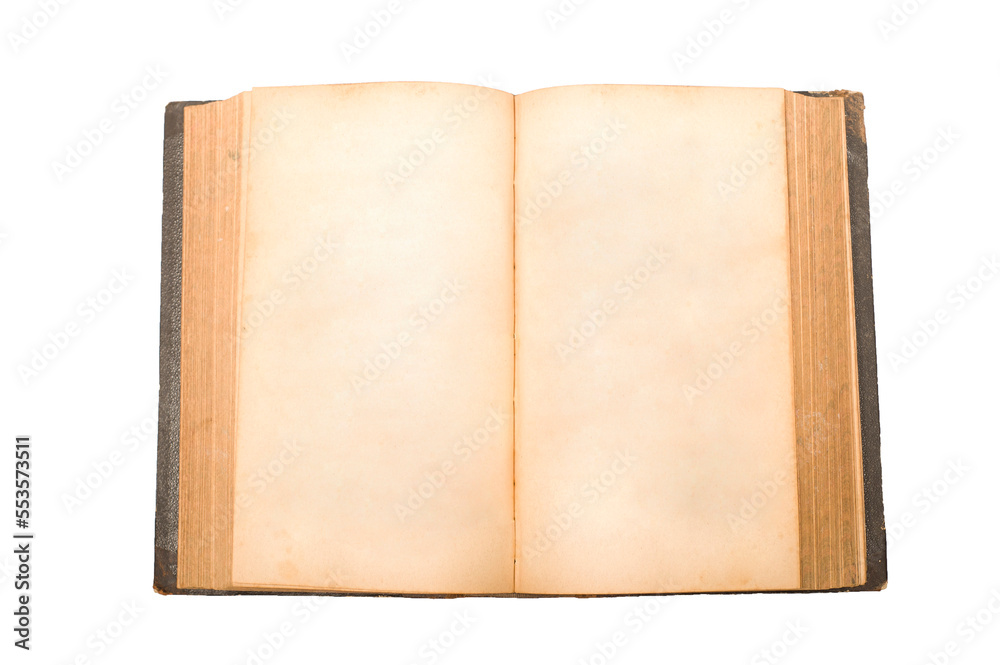 blank ancient open book, isolated blank ancient open book, isolated