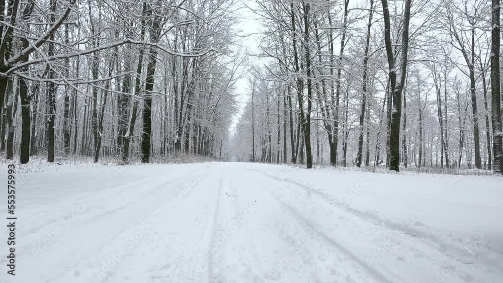 Winter snowy road through the forest. Snowflakes fall from the sky Winter snowy road through the forest. Snowflakes fall from the sky