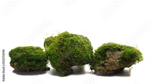 Green moss on stone isolated on white 