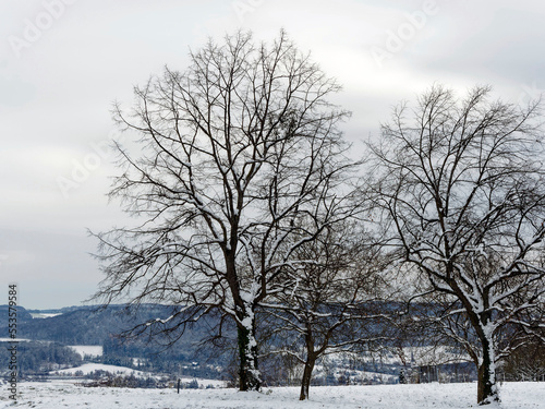 Winterlandschaft rund um Lörrach. Schneebedeckt Tüllinger Hohe mit Blick auf Stetten und  Schweizer Grenze