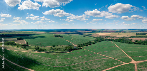 Agro plantação  vista aérea  fazendas estrada photo