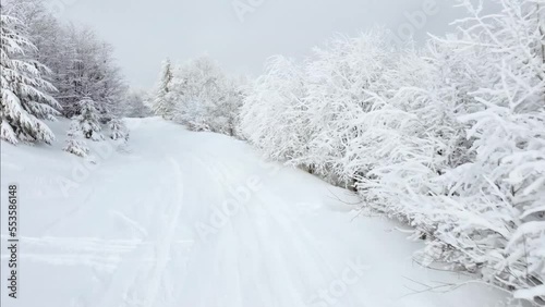 Wallpaper Mural Bird's eye view of the ski resort. The road high in the mountains and the ascent of the quadcopter on the opening view from the top of the mountain behind the dense forest Torontodigital.ca