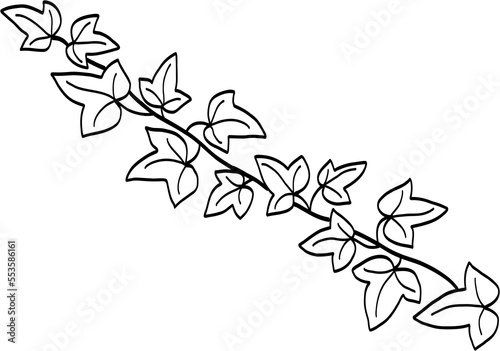 Simplicity ivy freehand drawing 