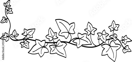 Simplicity ivy freehand drawing 