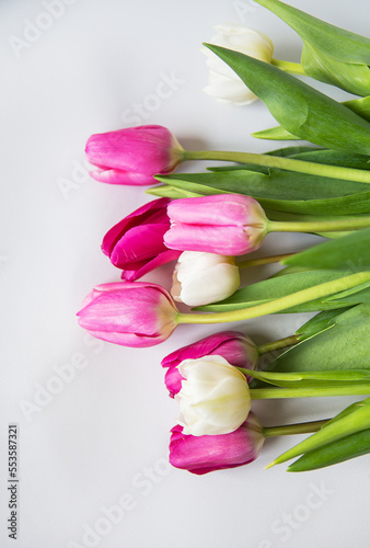 Fototapeta Naklejka Na Ścianę i Meble -  Beautiful spring bouquet of pink and white tulips on a white background. Spring, March 8, birthday. Greeting card.