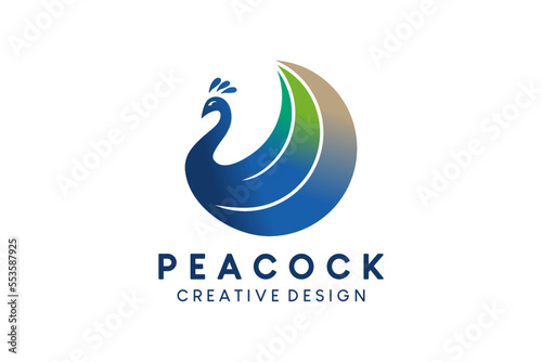 Simple abstract peacock logo design