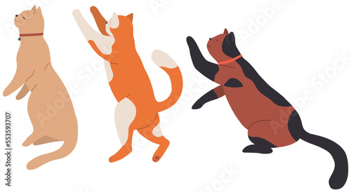 Cute cartoon kitty set with ginger fur sitting side view. Cat shorthair home kitten, domestic animal with mustache and tail. Fluffy pet friend, human companion with collar. Caring for animals concept