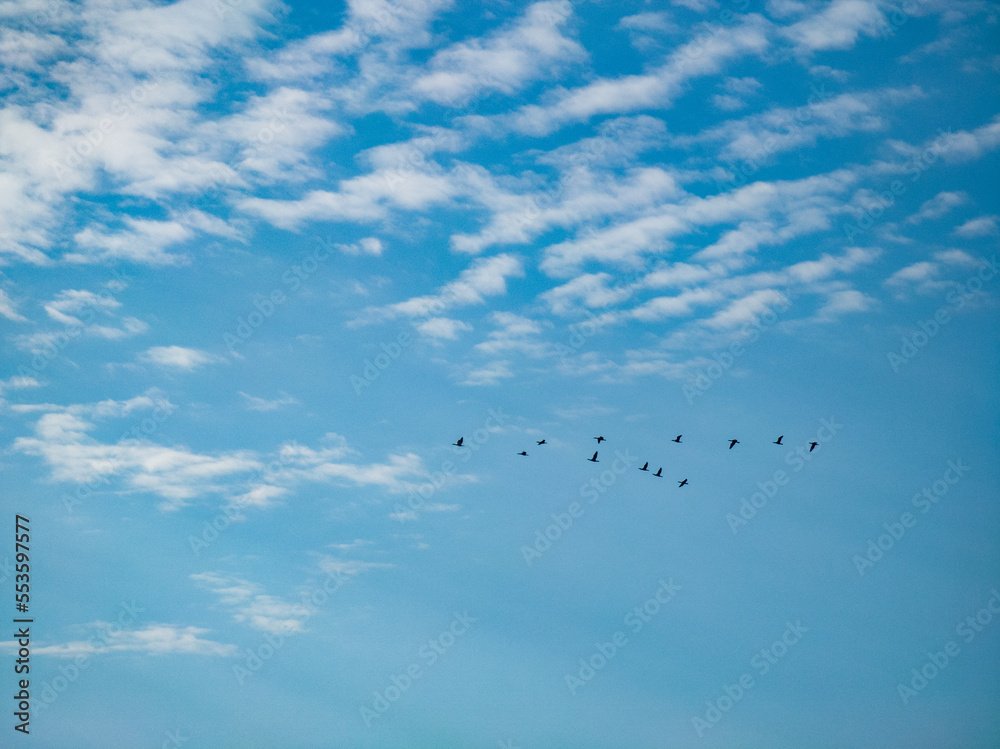 Beautiful nature background. Blue sky with white clouds. Sunny day. Beautiful nature background. Blue sky with white clouds. Sunny day.