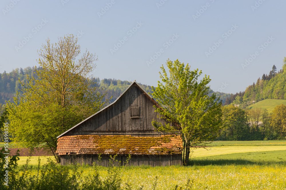 Old wooden barn in Germany at sunrise
Old wooden barn in Germany at sunrise