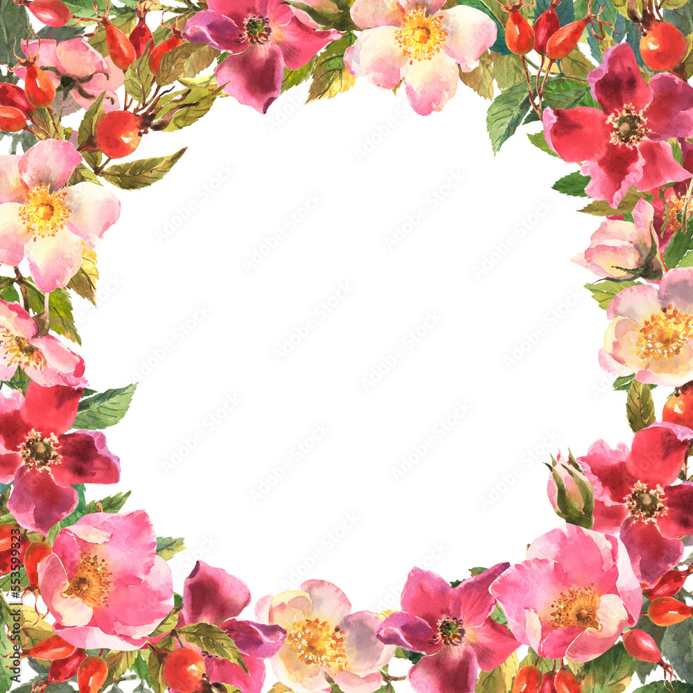 Rosehip Frame. Flowers, leaves and fruits of wild roses, watercolor illustration isolated on white background.