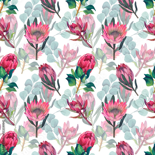 Watercolor seamless pattern with magenta protea  floral background blooming flowers and protea leaves.