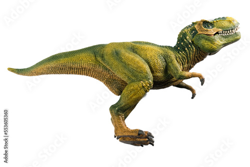 Tyrannosaurus Rex. T-Rex is a genus of large theropod dinosaur. Isolated on White background.
