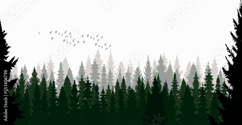 forest  trees silhouette design vector isolated