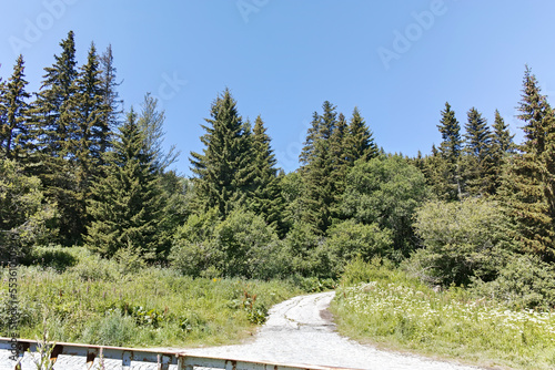 Summer landscape of Vitosha Mountain, Bulgaria