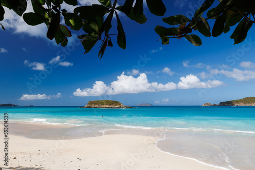 Beach with palm trees on St John in Virgin Islands photo