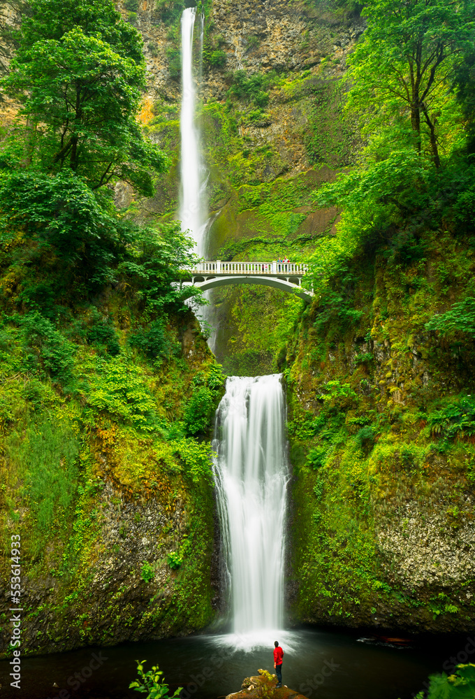 Fototapeta premium Multnomah Falls waterfall in the Oregon forest