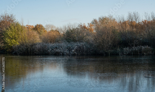 Lake view on a cold winter morning. Frost, vegetation