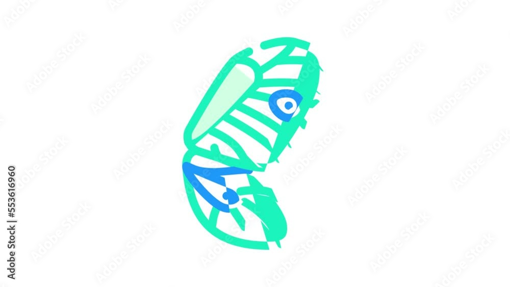 butterfly wing color icon animation butterfly wing color icon animation