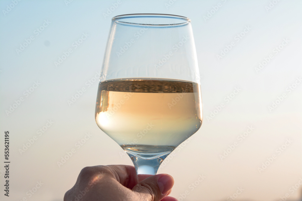 Woman holding glass of tasty wine against sky, closeup Woman holding glass of tasty wine against sky, closeup