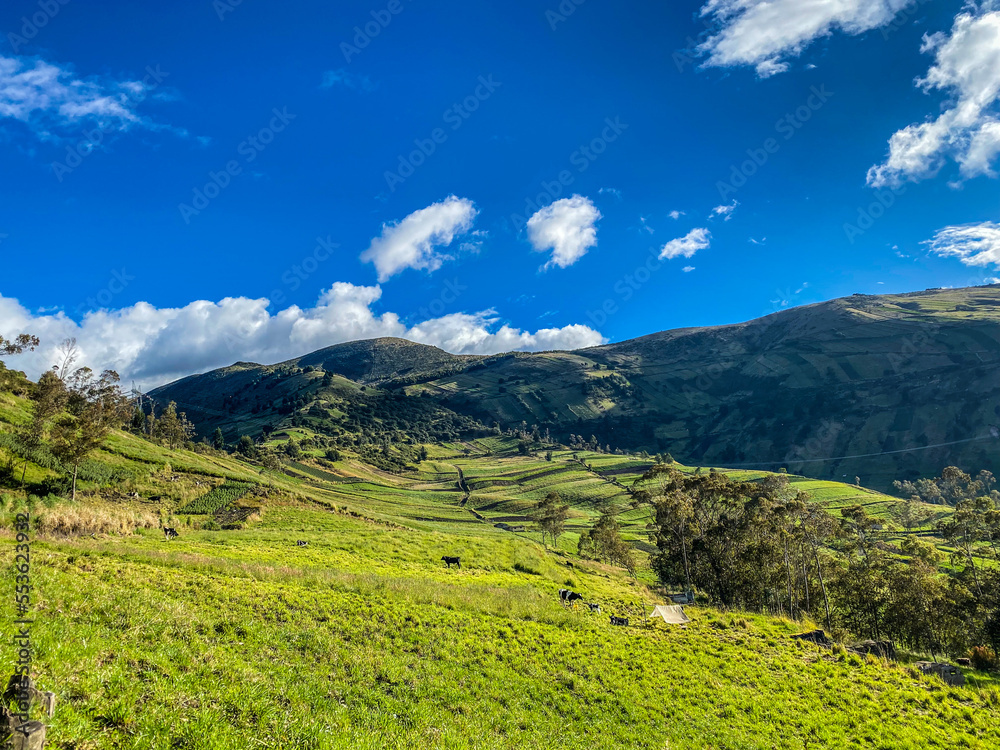 landscape with sky