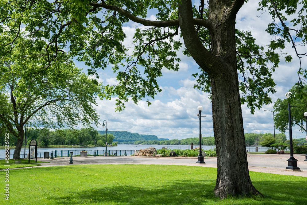 Obraz premium River park with trees and Bluffs in the background