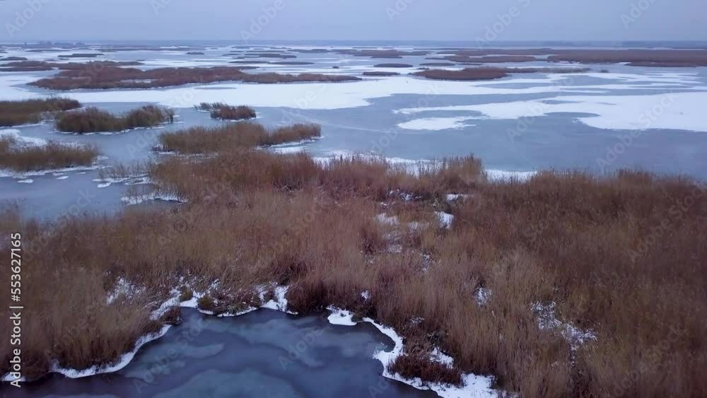 Aerial view of frozen lake Liepaja (Latvia) during the winter, blue ice with cracks, dry yellowed reed islands, overcast winter day, wide drone shot moving forward Aerial view of frozen lake Liepaja (Latvia) during the winter, blue ice with cracks, dry yellowed reed islands, overcast winter day, wide drone shot moving forward