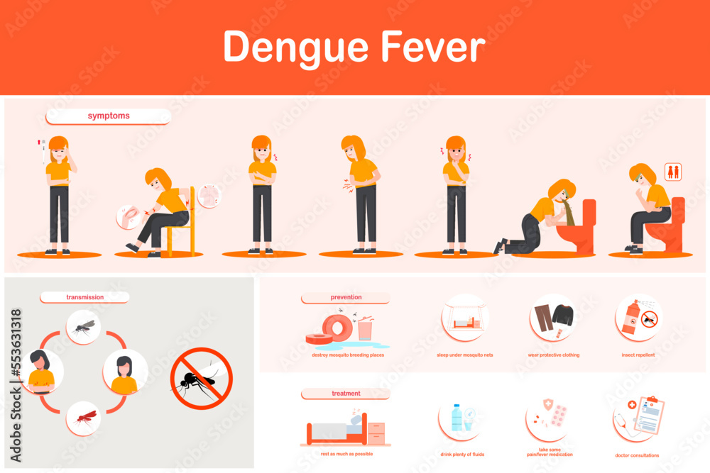 Vector Illustration Infographics Dengue Fever Symptoms, Transmission ...