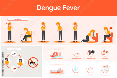Vector illustration infographics dengue fever symptoms, transmission, prevention and treatment, and transmission of dengue fever. Flat design