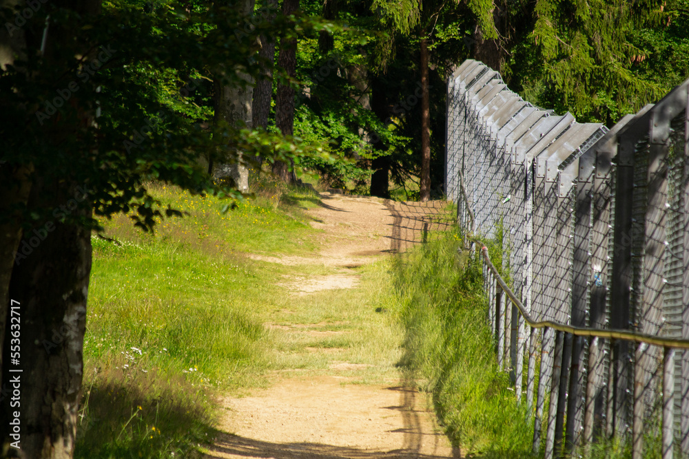 A path through the forest with a high fence on the right. A path through the forest with a high fence on the right.