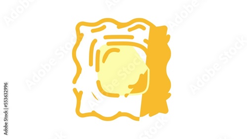 ravioli meal color icon animation photo