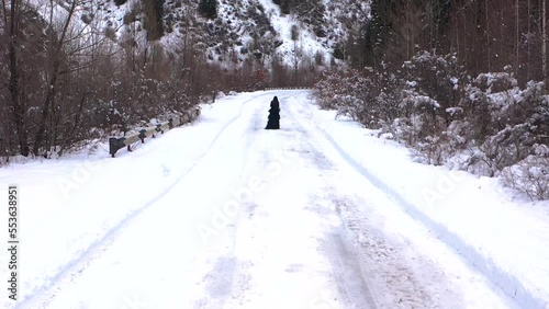 a woman in black walks along a snowy road. witch and black witch in the forest. mysticism and witchcraft