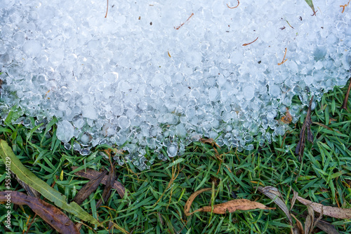 A pile of small hail stones on the grass photo