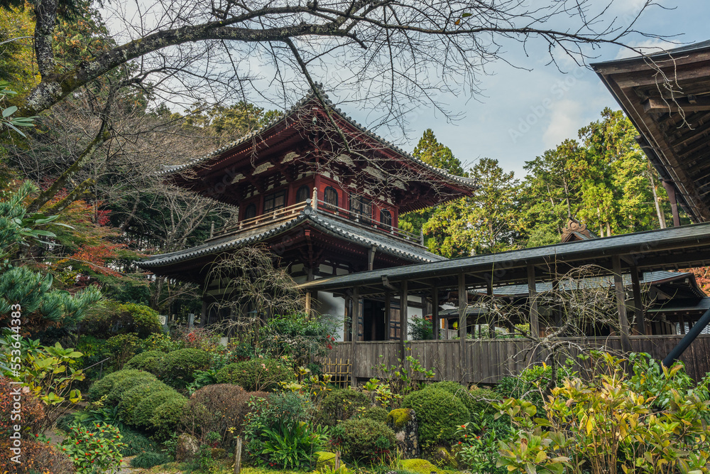 お寺の庭から