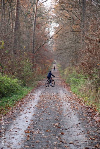 Radfahrer im Wald, Aktiwitäten in freiem Natur.