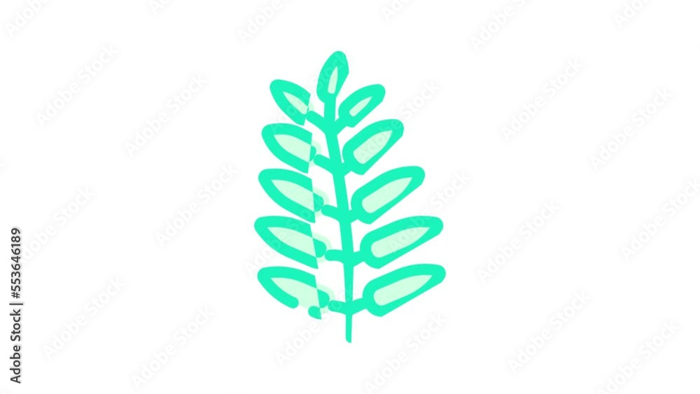 royal fern tropical leaf color icon animation