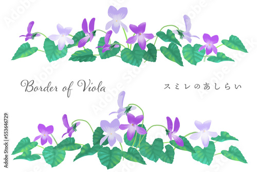 春らしい スミレの花のボーダー ベクターイラスト  水彩風