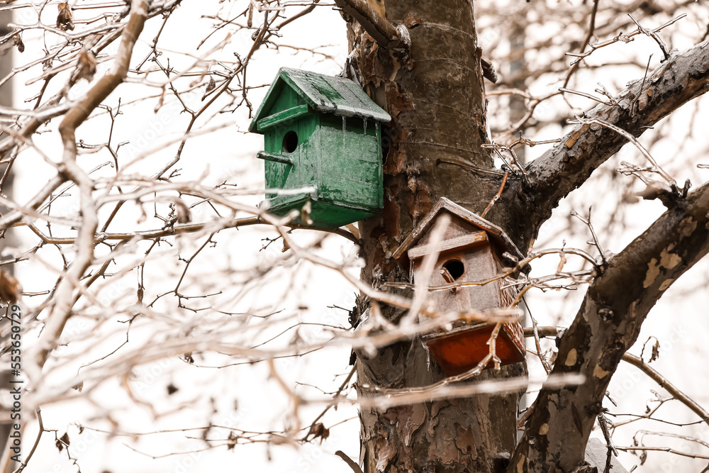 Birdhouses on icy tree in winter park