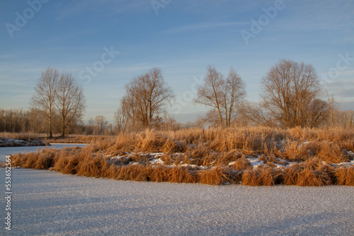 Wallpaper Mural Breath of winter, first ice on the lake, dawn on a frosty morning with frost on the grass, close-up of frost, patterns on the first ice Torontodigital.ca