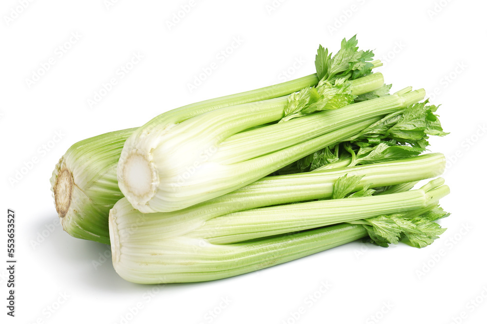 Fresh green celery isolated on white background