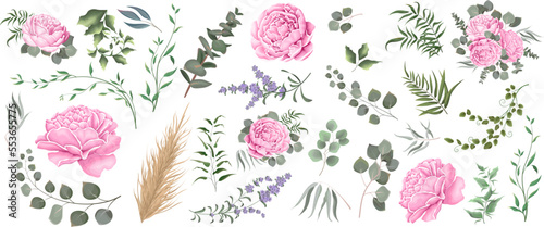 Vector grass and pink flower set. Eucalyptus, different plants and leaves, lavender, pink peony, dry wood. 
