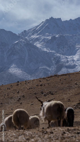 Altun Mountain photo