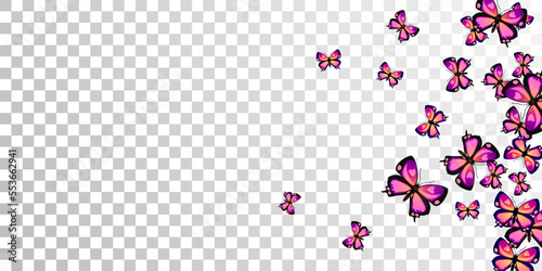 Romantic purple butterflies abstract vector illustration. Spring little insects. Wild butterflies abstract girly wallpaper. Gentle wings moths patten. Garden creatures.