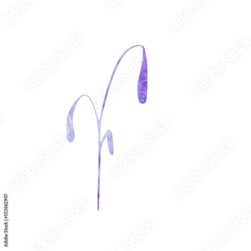 spring flower mystic grass purple water color hand painting