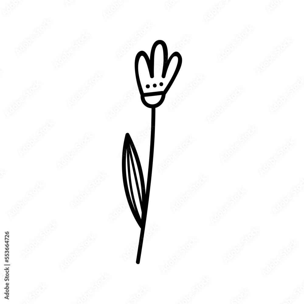 a flower a flower