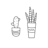 Set of vector hand drawn houseplants. Isolated on white background drawing for prints and posters