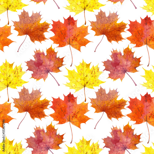 Seamless pattern of hand-drawn watercolour maple leaves on a white background. Autumn Illustration for fabric, sketchbook, wallpaper, wrapping paper.